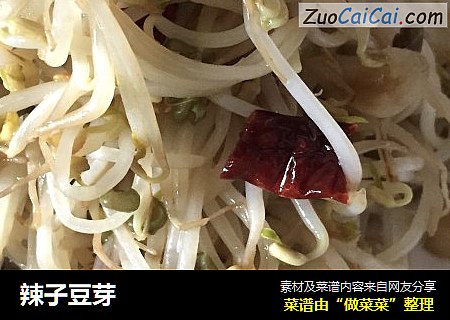 辣子豆芽