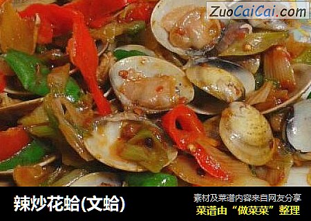 辣炒花蛤(文蛤)