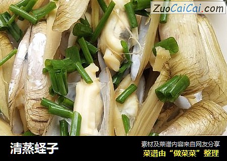 清蒸蛏子
