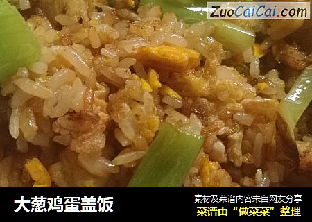 大葱鸡蛋盖饭