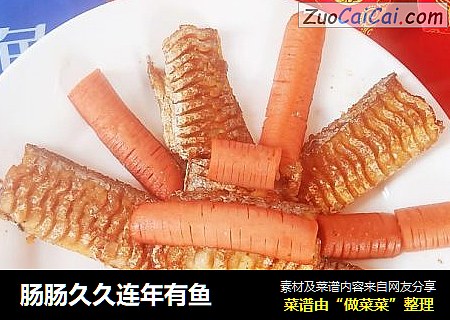 肠肠久久连年有鱼