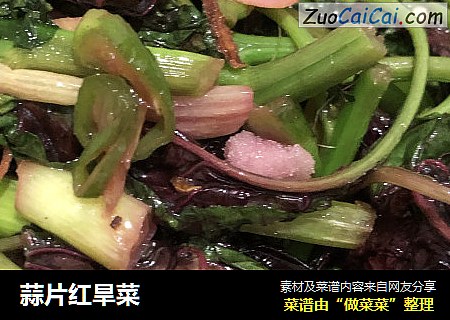 蒜片红旱菜