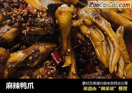 麻辣鸭爪