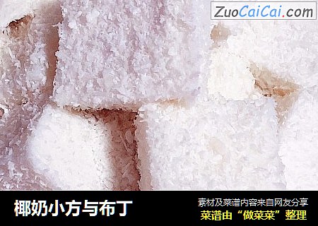 椰奶小方与布丁