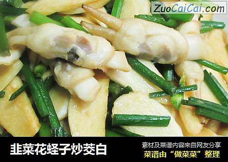 韭菜花蛏子炒茭白