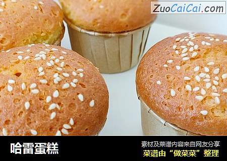 哈雷蛋糕