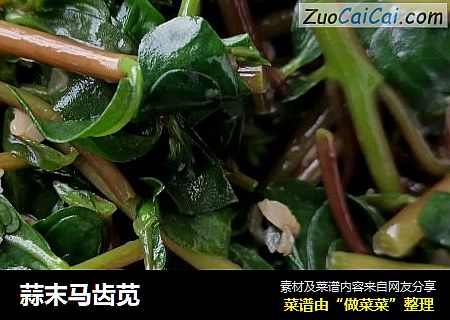 蒜末马齿苋
