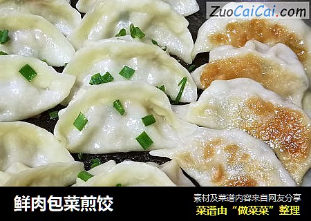 鲜肉包菜煎饺