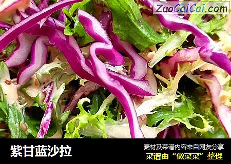 紫甘蓝沙拉
