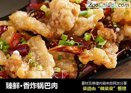 臻鲜·香炸锅巴肉