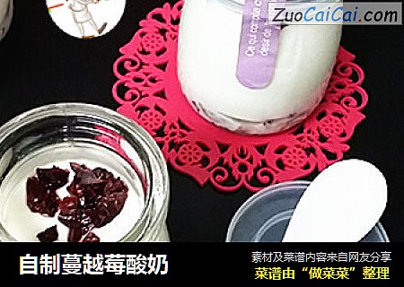 自制蔓越莓酸奶