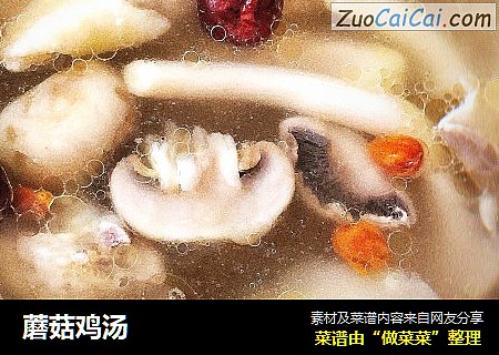 蘑菇鸡汤