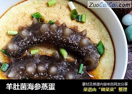 羊肚菌海参蒸蛋