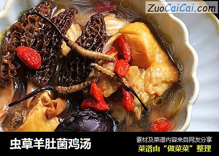 虫草羊肚菌鸡汤