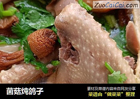 菌菇炖鸽子