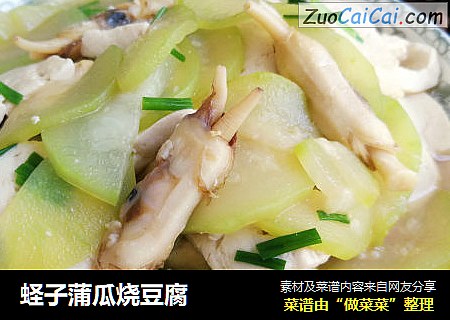 蛏子蒲瓜烧豆腐