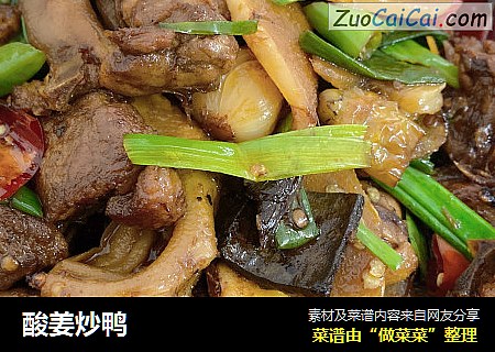 酸姜炒鸭