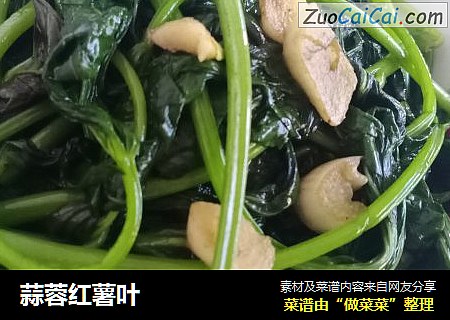 蒜蓉红薯叶