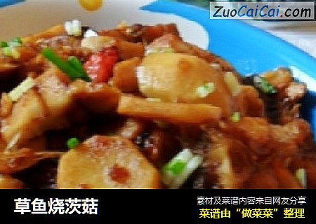草鱼烧茨菇