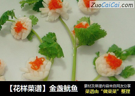 【花样菜谱】金盏鱿鱼