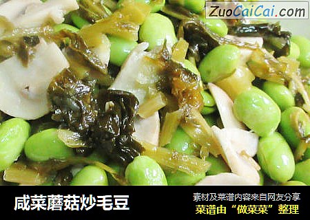 咸菜蘑菇炒毛豆