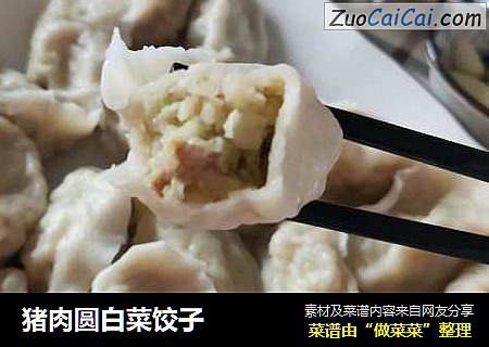 猪肉圆白菜饺子
