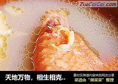 天地万物，相生相克——榴莲壳煲鸡汤