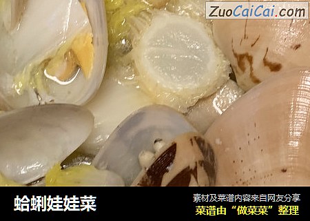蛤蜊娃娃菜