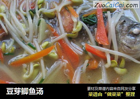 豆芽鲫鱼汤
