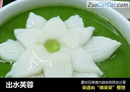 出水芙蓉