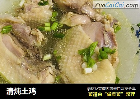清炖土鸡