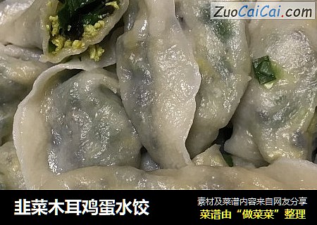 韭菜木耳鸡蛋水饺