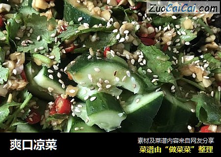 爽口凉菜