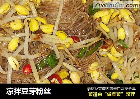 凉拌豆芽粉丝