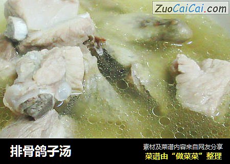 排骨鸽子汤