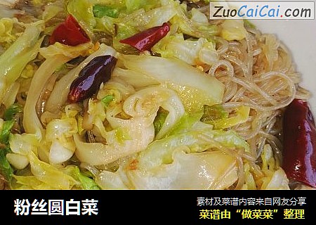 粉丝圆白菜