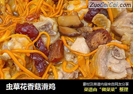 虫草花香菇滑鸡