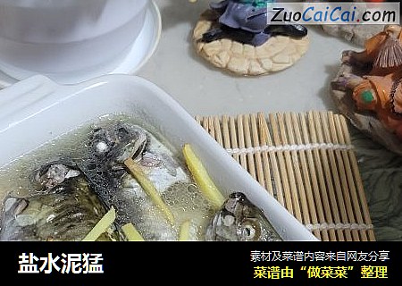 盐水泥猛