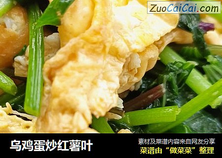 乌鸡蛋炒红薯叶