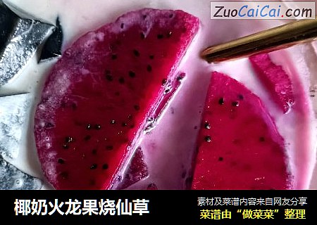 椰奶火龙果烧仙草