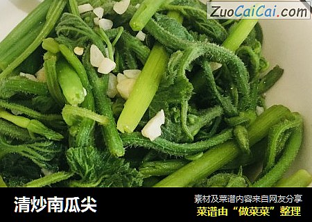 清炒南瓜尖