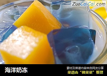 海洋奶冻