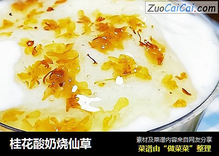 桂花酸奶烧仙草