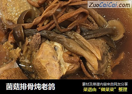 菌菇排骨炖老鸽