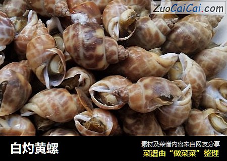 白灼黄螺