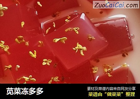 苋菜冻多多