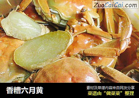 香糟六月黄