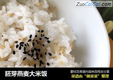 胚芽燕麦大米饭