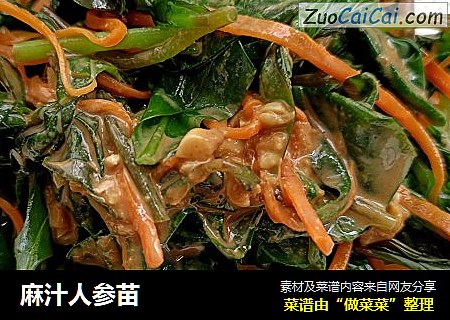 麻汁人参苗