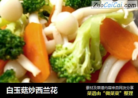 白玉菇炒西兰花